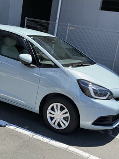 ウスバキトンボが飛んでる